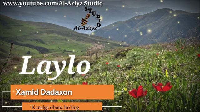 Xamid Dadaxon - LAYLO. (jonli ijro). | Хамид Дадахон - Лайло. смотреть онлайн