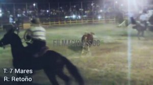 7 Mares en la plaza de toros el retoño