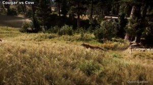 Far Cry 5 All Animals Attack & Bite Animations