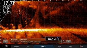 Garmin Panoptix LiveScope Key to Winning Bassmaster Angler of the Year Title