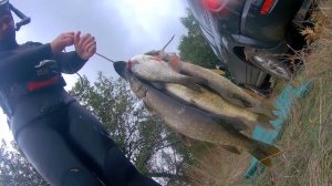 ПОДВОДНАЯ ОХОТА как бы не пропустить  жор щуки