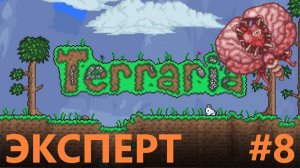 МОЗГ КТУЛХУ ТЕРРАРИЯ ЭКСПЕРТ #8