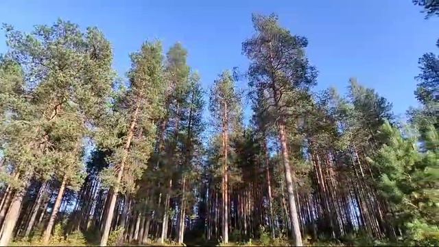Андозеро