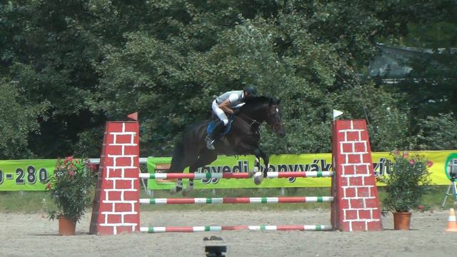 Mandik Ferenc - Fesztivál - 20180708 - Dunaharaszti R110 смотреть онлайн