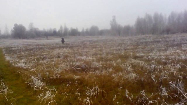 Махерово прогулки смотреть онлайн