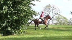 Jessie Bollinger & Speed Rail 2017 Hagyard Midsouth Three-day Event & Team Challenge