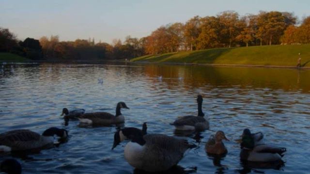 Germaine Tailleferre: Sonata per arpa (1957) смотреть онлайн