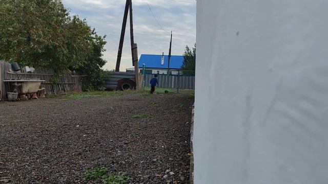 Следим за торехан бабабеком