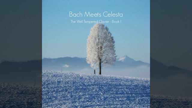 The Well Tempered Clavier Book I No. 21 in B-flat major BWV 866: Prelude смотреть онлайн