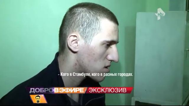 Добров в эфире  30.11.2015г смотреть онлайн