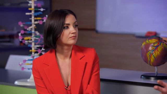 8 клас. Біологія. Пам’ять. Всеукраїнська школа онлайн смотреть онлайн