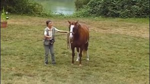 Grundkurs "Zirzensische Gymnastik", Modul 2