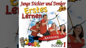 Das Gegenteil Lied (Instrumental)