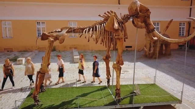 Kuhinja moga kraja / Marijana Kozomara, Iđoš nedaleko od Kikinde смотреть онлайн