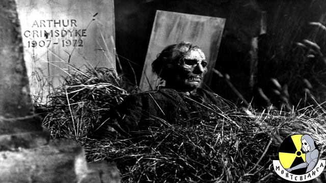 ZOMBIE - Creepypasta 121 смотреть онлайн