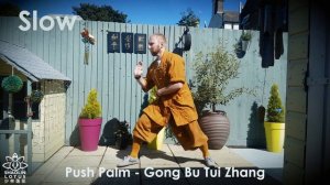 Push Palm - Tui Zhang - Shaolin Lotus