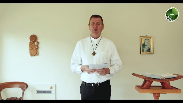 5. Synodality in Action смотреть онлайн