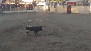 Plaza de toros Carlos Arruza | 4 de Febrero del 2024