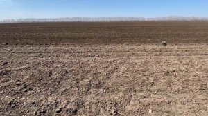 Полевой обзор. Борона зубовая шлейфовая БЗШ-18