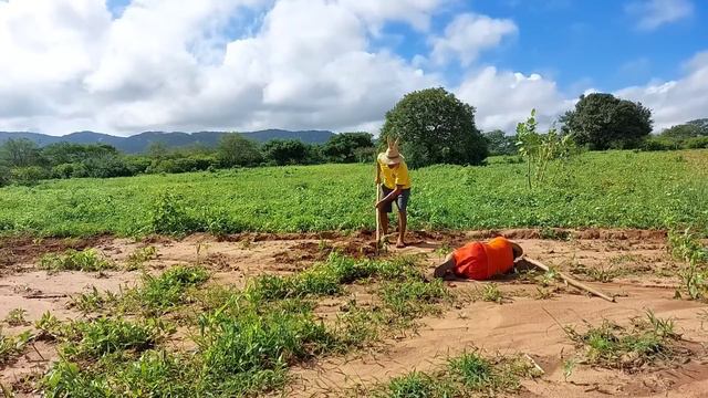 bastidores !! Seu Mané enganou seu Sérgio dizendo que a roça não era dele !! смотреть онлайн