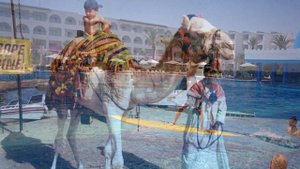 CONCORDE MARCO POLO HOTEL 2021 HAMMAMET НЕПЛОХАЯ ЧЕТВЕРКА TUNISIA