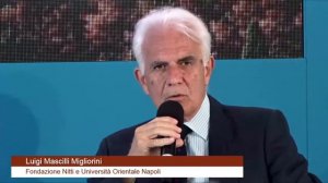 Sud & Nord  Intervento di Luigi Mascilli Migliorini, Fondazione Nitti Università Orientale di Napol