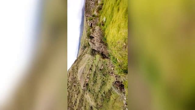 Santo Tomás смотреть онлайн