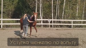Гимнастика лошади в руках, уступка шенкелю по вольту