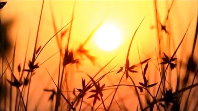 Sied Van Riel & Waakop Reijers - In Awe (Original Mix) смотреть онлайн