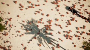 Crab Rave