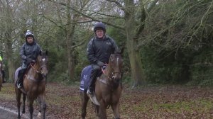 Godolphin Stud and Stable Staff Dedication to Racing Award  Finalist William Reddy