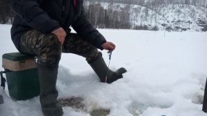 р.Кондома рыбалка на льду.2024 март.