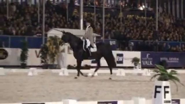 Edward Gal met Totilas смотреть онлайн