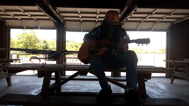 tree top flyer steven stills cover. смотреть онлайн