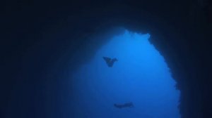 Four world class freedivers dive through the arch, dahab, egypt.