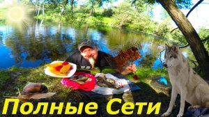 Поставил Сетку на 3 Часа и Офигел.Шашлычек