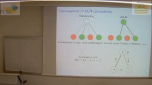 ELSC-ICNC Seminar: Stephen J. Eglen