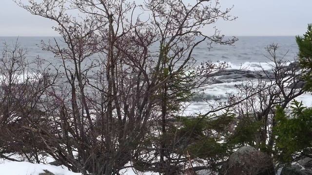 Resan från Nationalromantik till Nationalglobalism. Vad händer nu? Tankar från havet 2012 2022