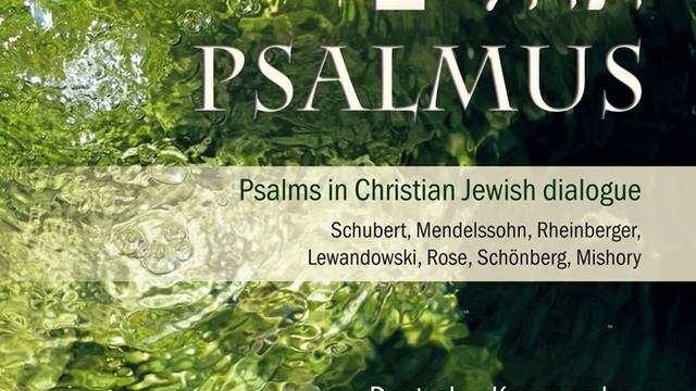 Wasserpsalm 2014: II. Mejmenuchot смотреть онлайн