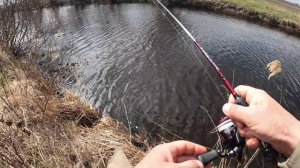 За щукой с микроджигом! Разловил НОВЫЕ приманки!!!