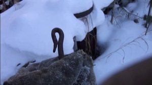 деревня Яковлевка