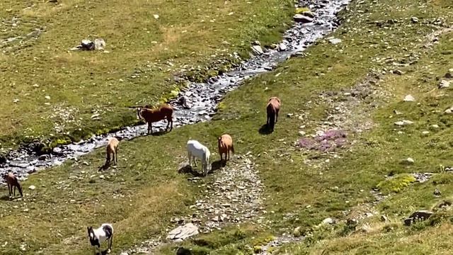 Monte Bianco #courmayeur Val Ferret Lavachey Rif.Bonatti 2026 Pas Entre Deux Saut  2526 Lavachey