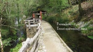 Visiting the Mazonovo Mills Museum in Taramundi, Asturias (Spain)