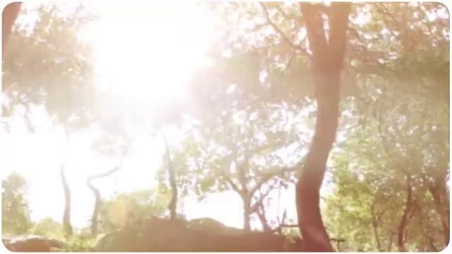 Rodney Wallace смотреть онлайн