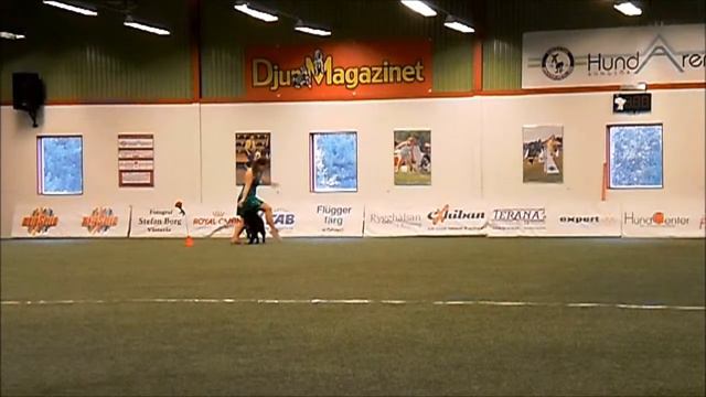 Elin och David freestyle klass 2 191013