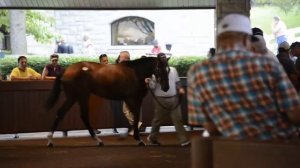 Keeneland September Sale 2013: Day 2 Wrap-Up