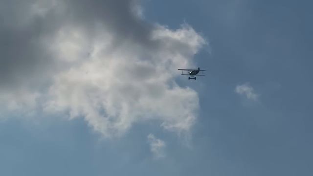 Mikael Carlson Fokker D VII