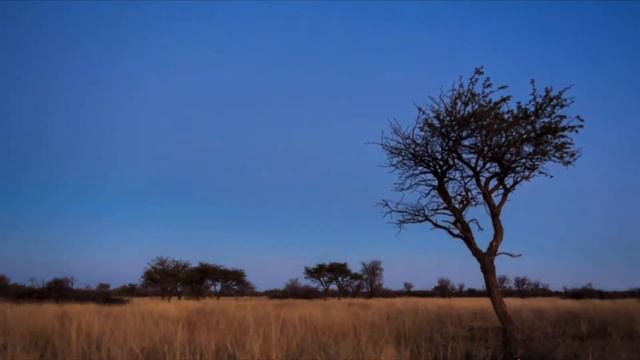 Ап Единение Друже смотреть онлайн