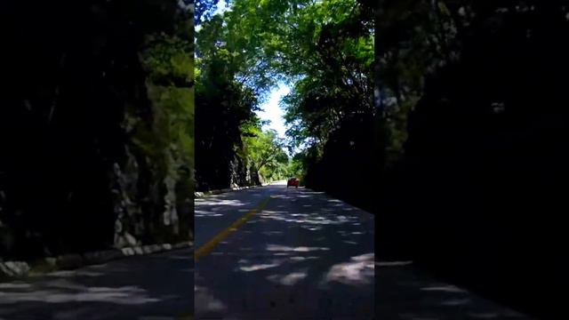 Los Otros 6 de Augusto Monterroso смотреть онлайн