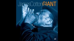 James Cotton -  Blues for Koko